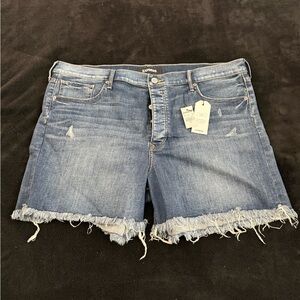 Express Women's Distressed Blue Jean Shorts